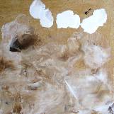 Плитка пола. Начало создания текстуры.