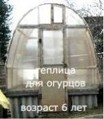 Теплица с элементами каркаса из деревянных реек.