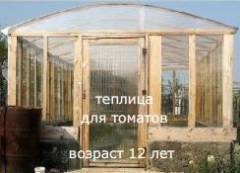 Теплица из деревянных брусков и перекрытием из реек.